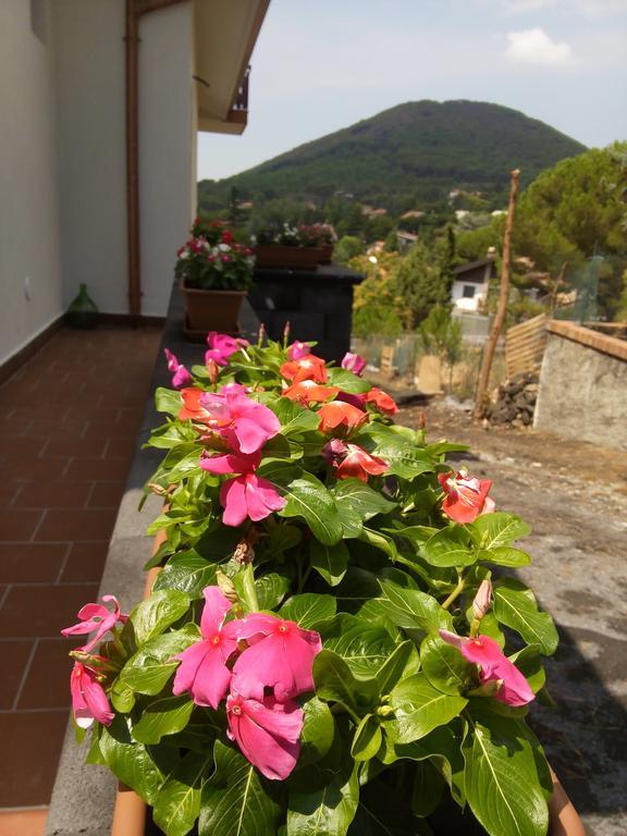 Il Giardino Di Leoca Bed & Breakfast Nicolosi Exterior foto